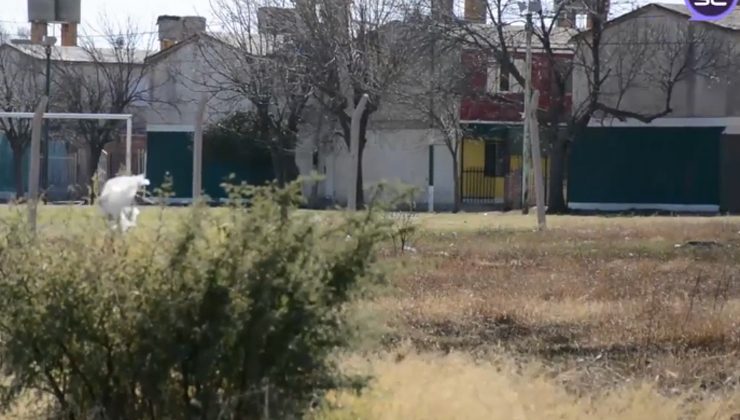 El barrio Santa Rita tendrá un parque recreativo