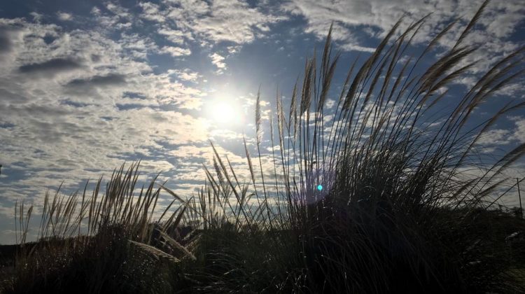 Pronostican un domingo caluroso, y probables tormentas y chaparrones para este lunes