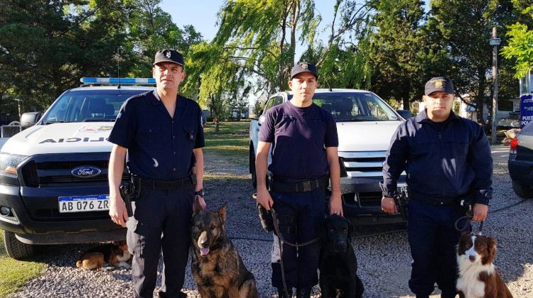 Salta: canes de San Luis participarán en la búsqueda de un mochilero francés desaparecido