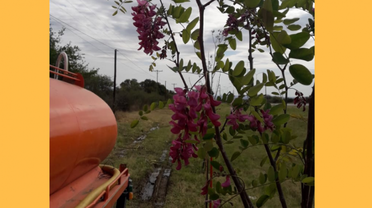 Parquizaron la ruta que une Santa Rosa con Villa de Merlo