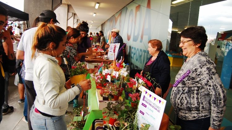 Se realizó con éxito la sexta edición de la Feria de Pequeños y Medianos Productores