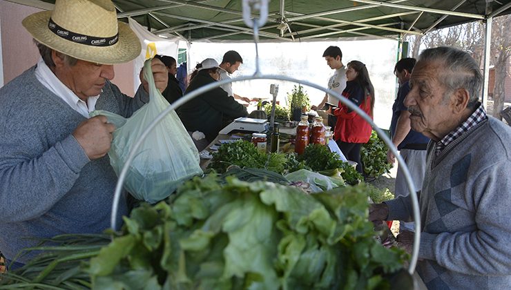 “Sol Puntano” realiza otra feria de verduras, productos elaborados y carnes