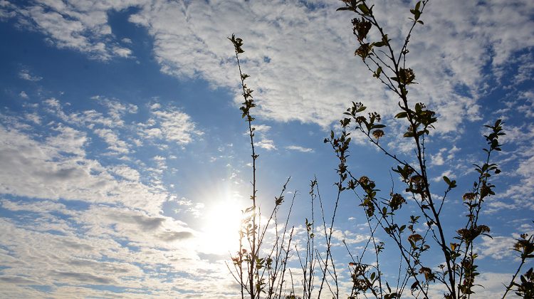 Pronóstico de calor para este martes y lluvias para miércoles, viernes y sábado