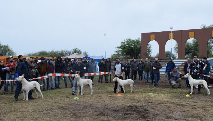 El Monumento de Toro Negro fue sede de la expo del Dogo Argentino