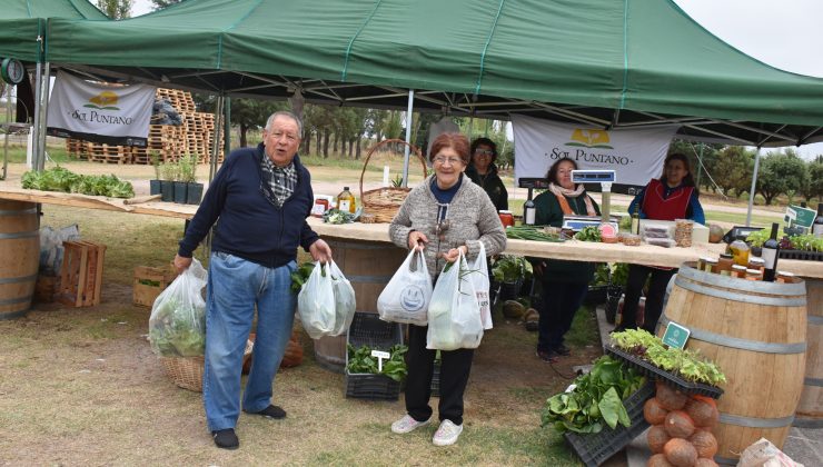 Carne vacuna, de cerdo, verduras y productos elaborados, en una nueva feria de “Sol Puntano”