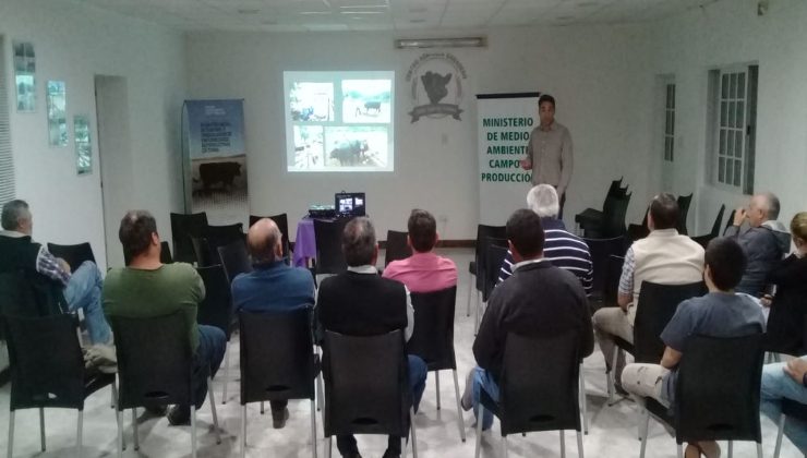 Visitan los centros ganaderos de cuatro departamentos para interiorizar a productores sobre el Plan Toros