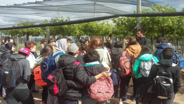 Más escuelas conocen el trabajo impulsado desde “Sol Puntano”