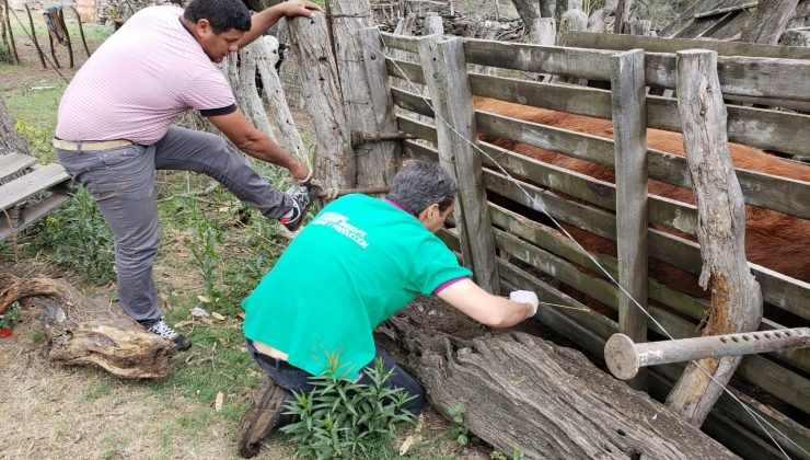 Las acciones sanitarias del Plan Toros llegaron a El Trapiche y Saladillo