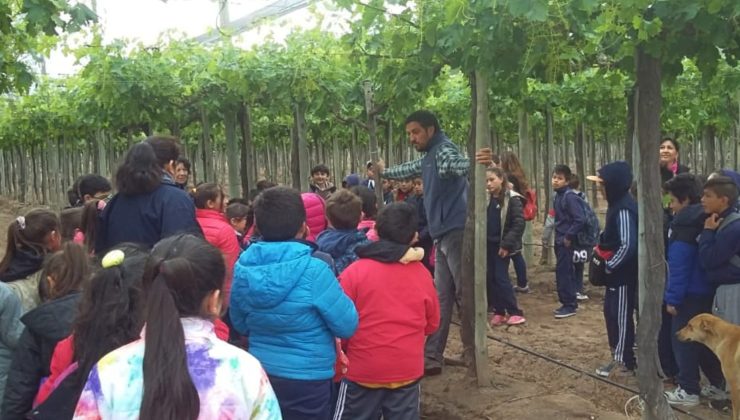 Alumnos del colegio “Manuel Belgrano” visitaron “Sol Puntano”