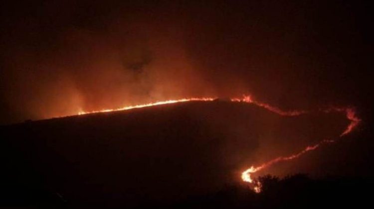 Bomberos y brigadistas combaten un incendio forestal en cercanías de La Carolina