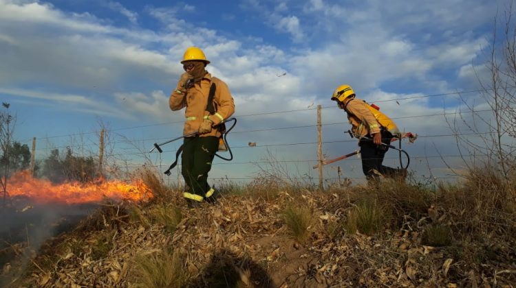 Trabajan para extinguir dos incendios que se reiniciaron este miércoles