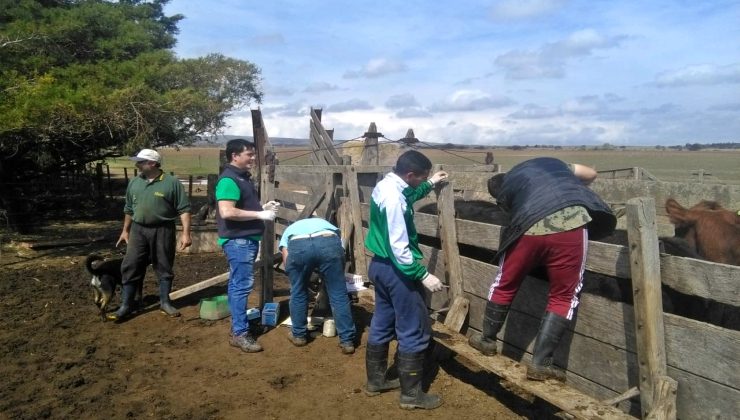 Asistencia sanitaria para tres pequeños tambos