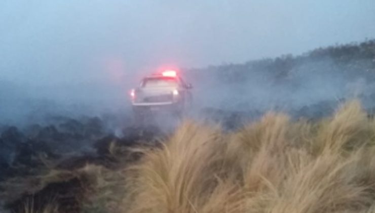 Extinguieron los incendios en La Carolina y Beazley