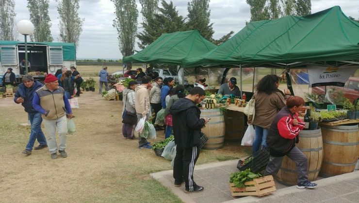 Otro día para adquirir productos de calidad y a buen precio