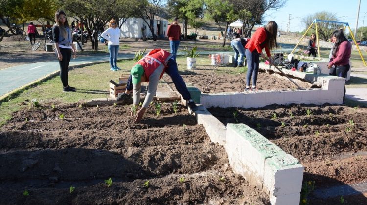 Plan Solidario: comienzan las jornadas de trabajo en el interior