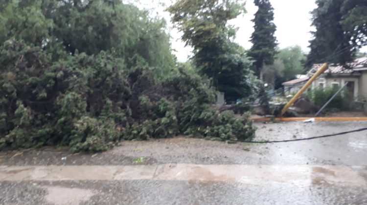 Lluvia, viento y granizo azotaron a San Luis: sólo hubo daños materiales