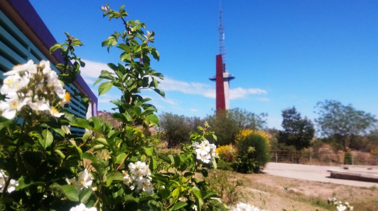 Medidas a tener en cuenta por las altas temperaturas