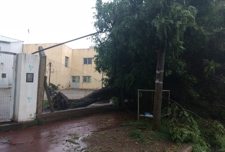El temporal causó daños en diversos puntos de la provincia.