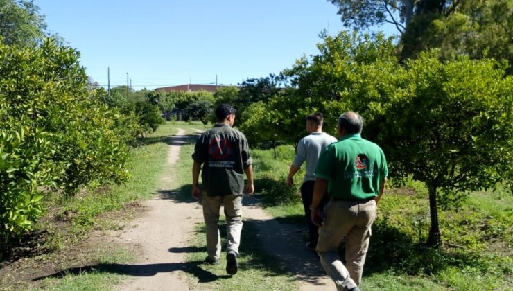 Trabajan en la realización de un mapa provincial fenológico de los frutales