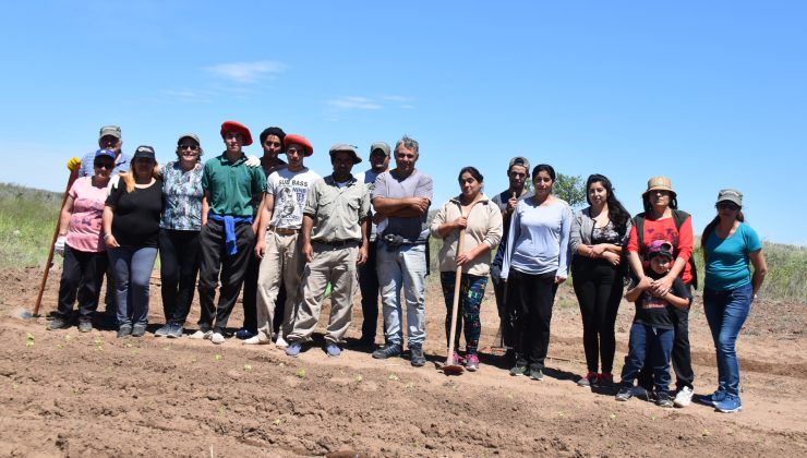 Huerta comunitaria, frutales y embellecimiento de espacios verdes para la comunidad ranquel