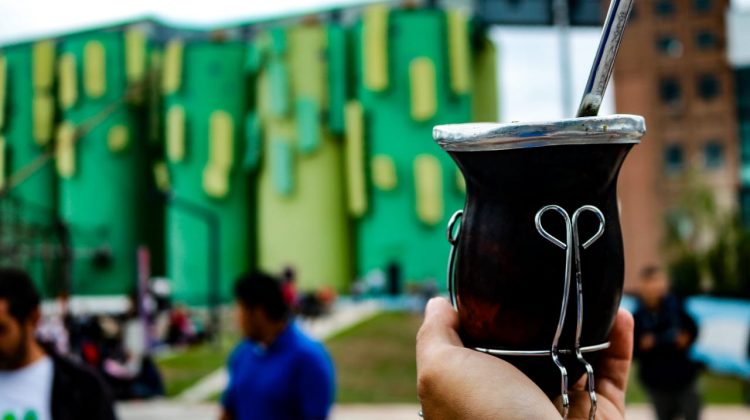 Mateando en el Molino Fénix