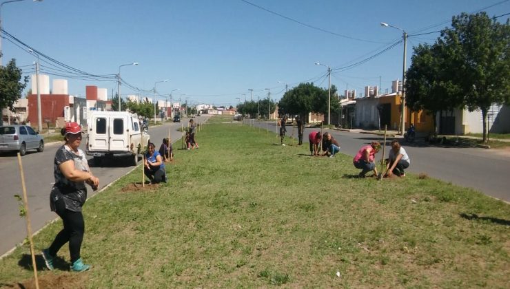 Con más de mil árboles, el Gobierno llenó de verde el barrio La Ribera