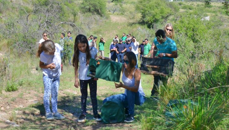 Volver a casa: el cielo puntano recibió a nuevas aves en libertad