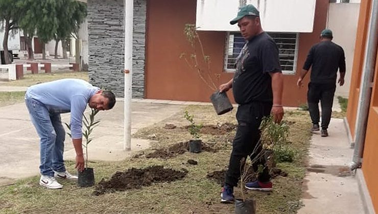 Realizarán visita institucional a las delegaciones de Naschel y Renca