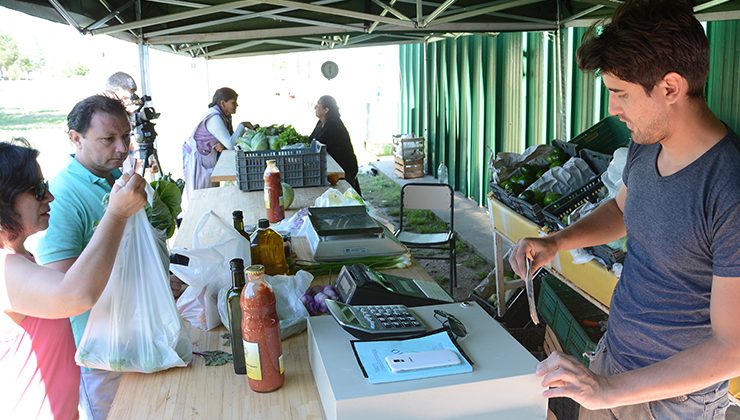 La Feria de Sol Puntano sumó sus primeras frutas y vinos elaborados en bodega propia