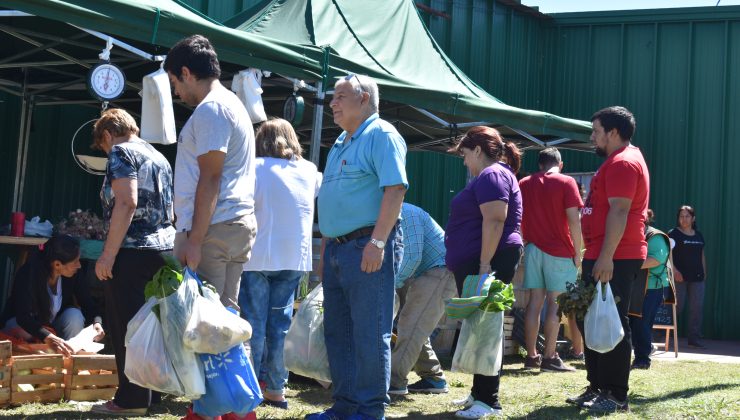 Una nueva oportunidad para adquirir la cosecha del día y cortes del Plan “Carnes San Luis”