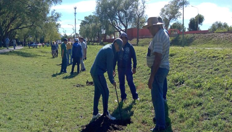 Con más de mil árboles, el Gobierno provincial forestó el Parque La Cerámica y sus alrededores