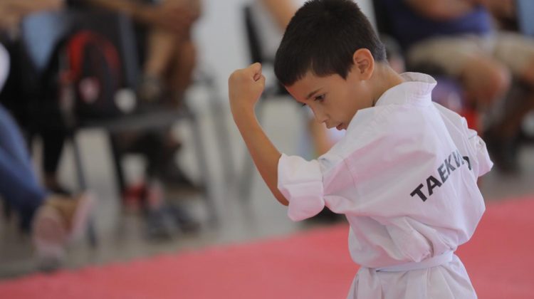 Se realizó el primer examen de la escuela de taekwondo del Campus Abierto ULP