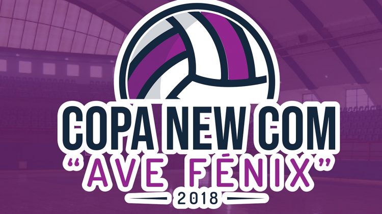 San Luis, Mendoza, Córdoba y Neuquén se disputarán la Copa Newcom “Ave Fénix” 