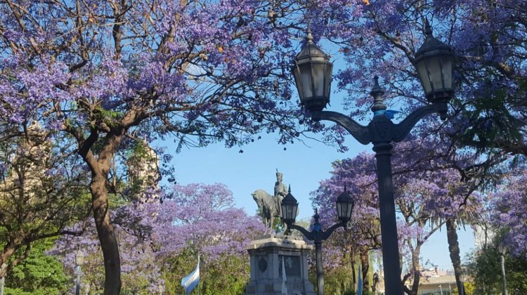 Viento, calor y lluvia para este fin de semana 