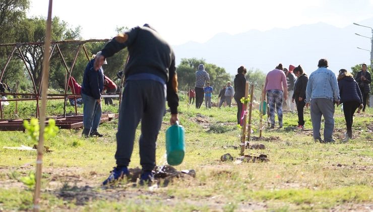 Continúa la forestación de los barrios 500 Viviendas Sur y Norte 