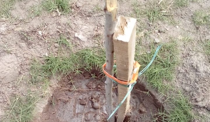 Vandalismo y basurales en las márgenes del río Quinto