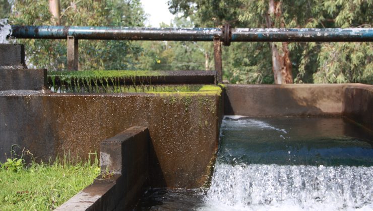 ¿Cuál es la diferencia entre el agua cruda y el agua potable? 