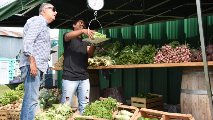 “Sol Puntano” te espera este martes con ofertas en frutas, verduras y carnes