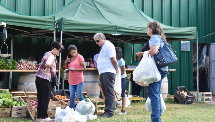 “Sol Puntano” y una nueva semana de ofertas, precios y calidad