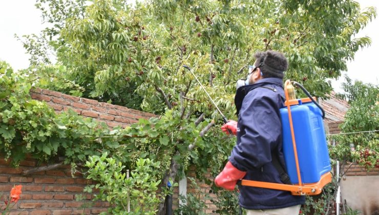 El Programa Mosca de los Frutos continúa con el control y erradicación de la plaga