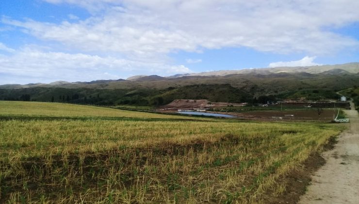 Medio Ambiente realizó una inspección en el feedlot Nicanor y constató el cese de actividades