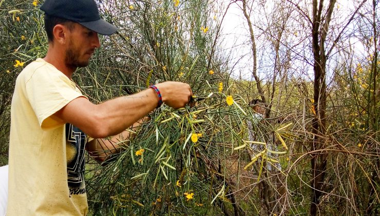 Más semillas llenan de vida el vivero provincial