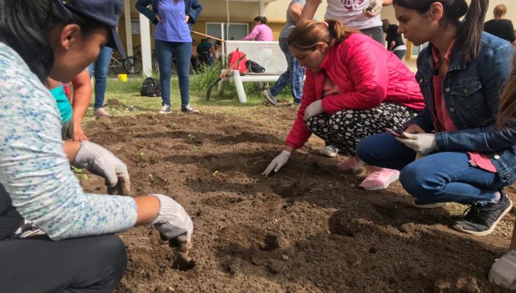 La cartera productiva armó una huerta y plantó frutales en el hospital de “La Pedrera”