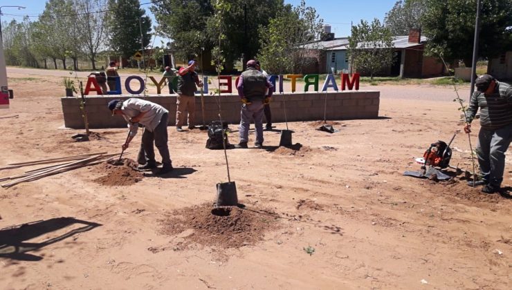 La forestación llegó al paraje Martín de Loyola