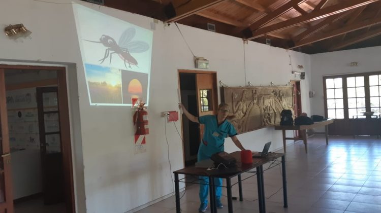 Enseñan a los más chicos como prevenir enfermedades transmitidas por mosquitos