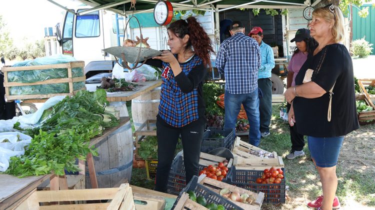 Calidad y precios empujaron fuerte las ventas de frutas y verduras en “Sol Puntano”