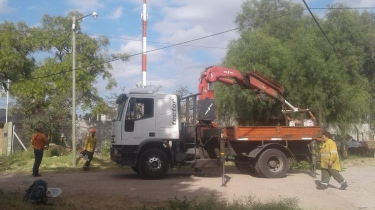 San Luis Solidario ayuda en la poda de árboles en barrios de la ciudad de San Luis