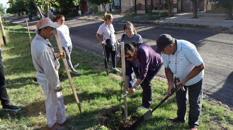 Beneficiarios del Plan de Inclusión reforestaron parte del barrio Unión