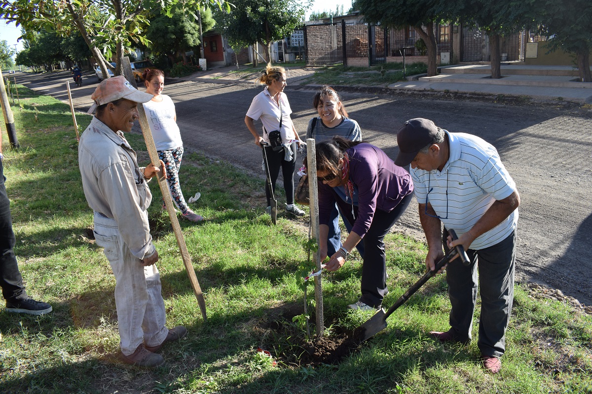 Beneficiarios del Plan de Inclusión reforestaron parte del barrio Unión.