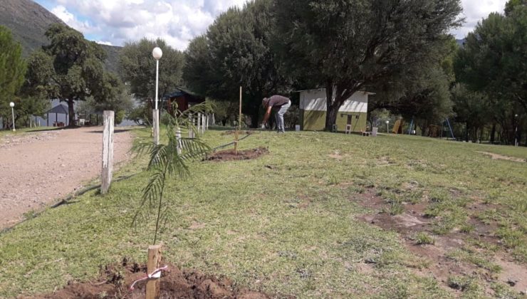 Con más de 50 árboles, la forestación llegó al Parque Nativo